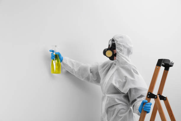 Best Mold Prevention Services  in Arlington, OH